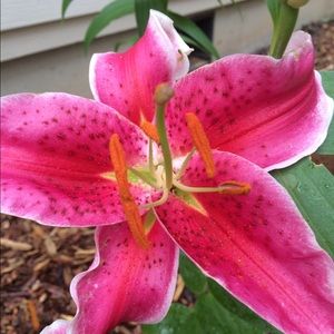 Meet your Posher, Madi